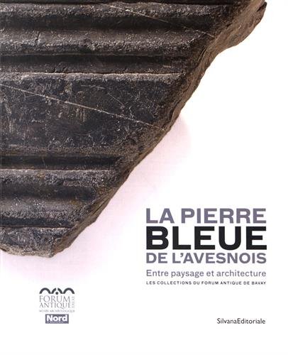 La pierre bleue de l'Avesnois. Entre paysage et architecture. Les collections du Forum antique de Bavay, (cat. expo. Bavay, Forum antique, sept. 2016-janv. 2017), 2016, 156 p.