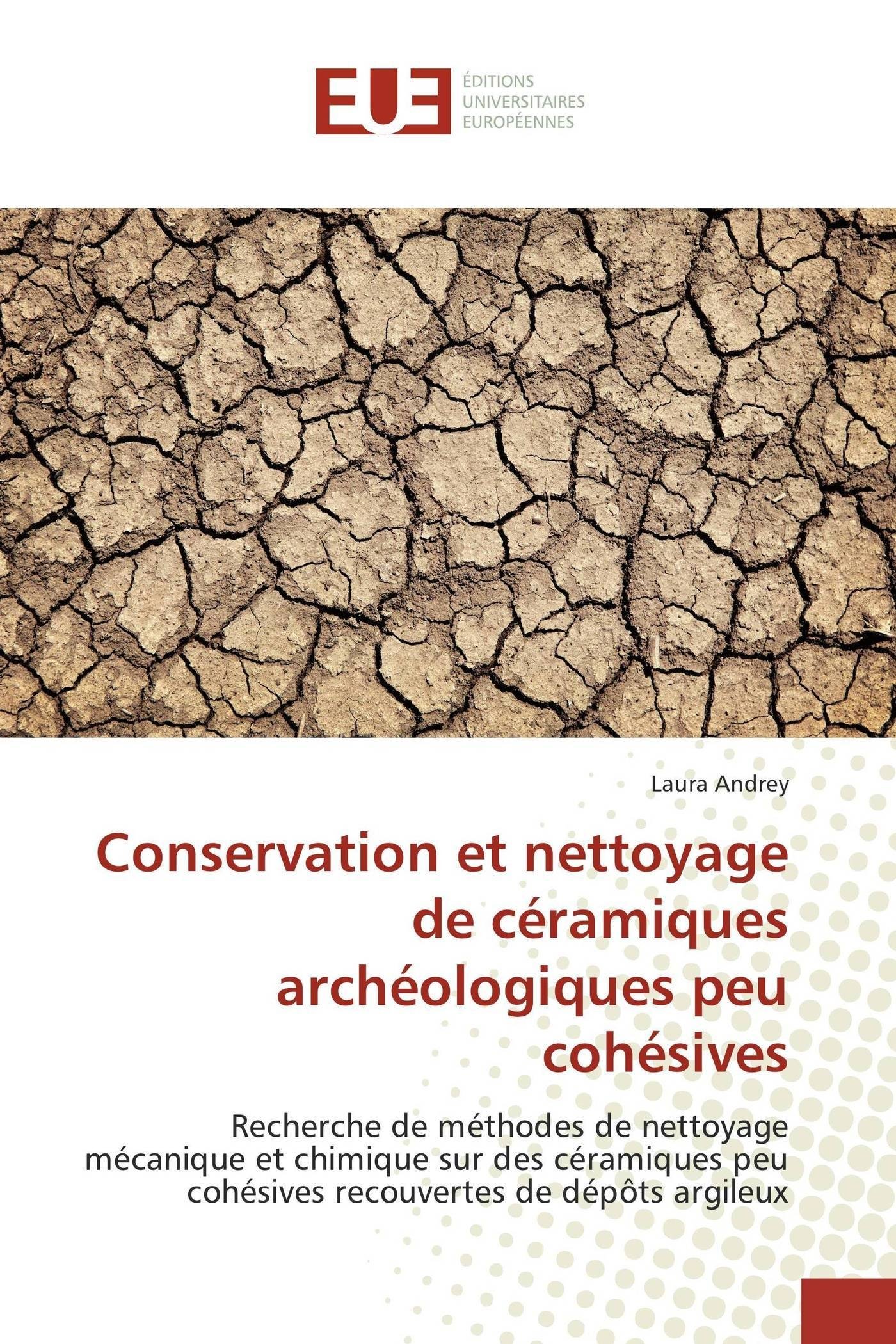 Conservation et nettoyage de céramiques archéologiques peu cohésives. Recherche de méthodes de nettoyage mécanique et chimique sur des céramiques peu cohésives recouvertes de dépôts argileux, 2016, 228 p.