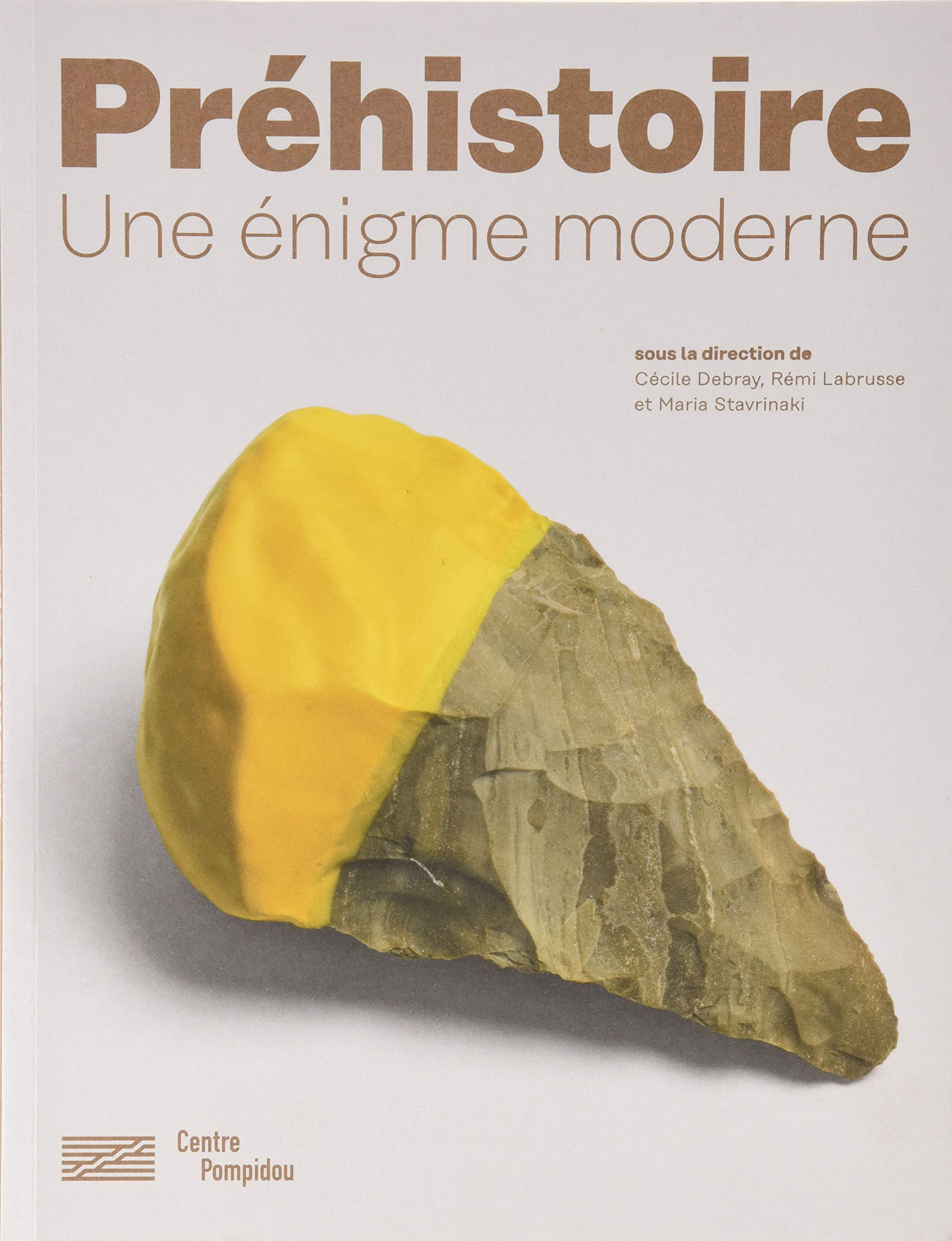 ÉPUISÉ - Préhistoire, une énigme moderne, 2019, 304 p.