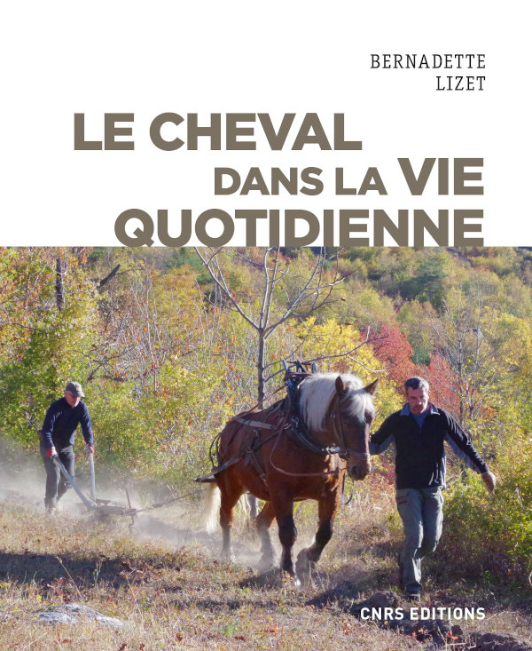 Le cheval dans la vie quotidienne, 2020, 320 p.