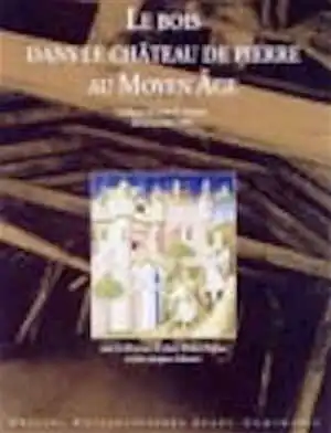 ÉPUISÉ - Le bois dans le château de pierre au Moyen Age, (actes du colloque, Lons-le-Saunier, oct. 1997), 2003, 320 p., 230 photo. et ill., br.