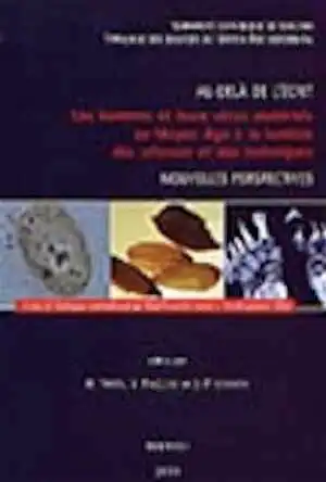 Au-delà de l'écrit. Les hommes et leurs vécus matériels au Moyen Âge à la lumière des sciences et des techniques. Nouvelles perspectives. (Actes du colloque international de Marche-en Famenne du 16-20/10/02), 2003.