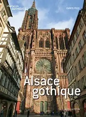 POZZI E. - Alsace gothique, 2011, 336 p., 500 ill. - Occasion