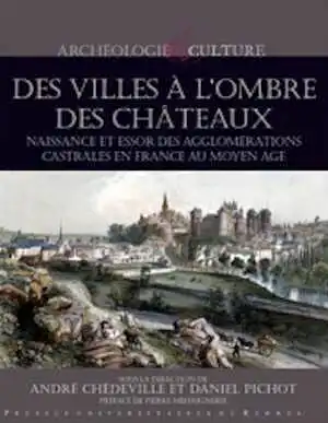 Des villes à l'ombre des châteaux. Naissance et essor des agglomérations castrales en France au Moyen Âge, 2010, 240 p.