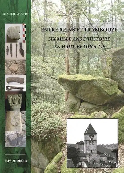 Entre Reins et Trambouze. Six mille ans d'histoire en Haut-Beaujolais, 2011, 220 p., 153 fig., 14 pl. h.t.