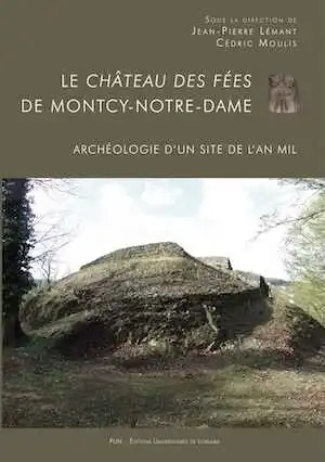 En rupture de stock - Le château des fées de Montcy-Notre-Dame. Archéologie d'un site de l'an Mil, 2016, 224 p.