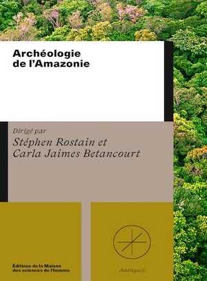 Archéologie de l'Amazonie, 2025, 336 p.