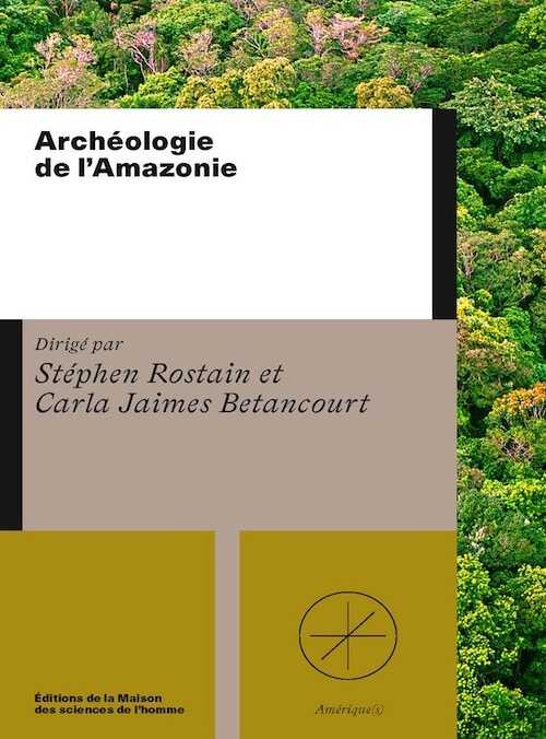 Archéologie de l'Amazonie, 2025, 336 p.